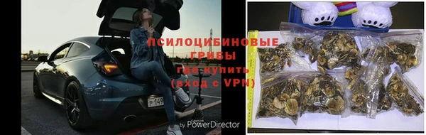 ГАЛЛЮЦИНОГЕННЫЕ ГРИБЫ Абдулино