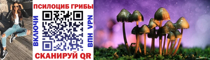 Псилоцибиновые грибы мицелий  blacksprut онион  Талдом 